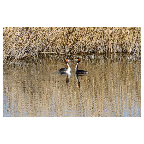 PHOTO84, CLUB, 84 , LUBERON